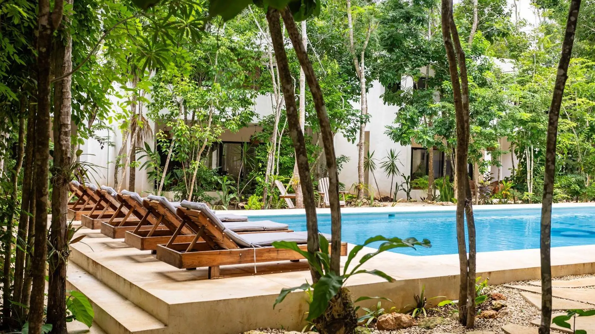 Aqua Viva, Pool, Ac, Internet, Beach Club Bacalar 0*,  Mexico
